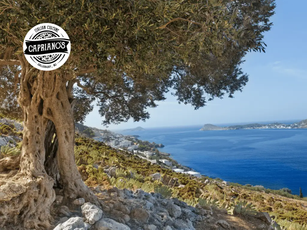 places to go in Salisbury NC